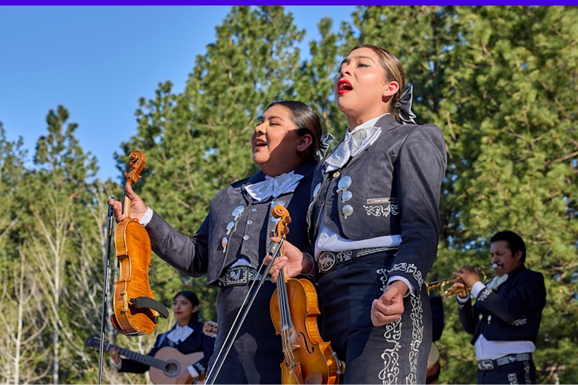 Arts and Culture Our Program Image