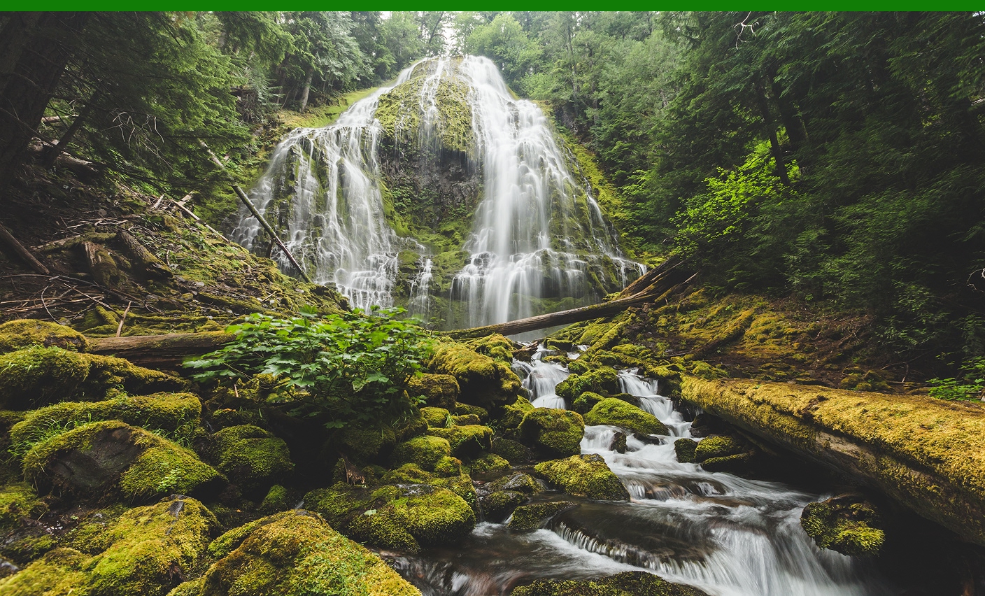 IMG-Environment-Focus